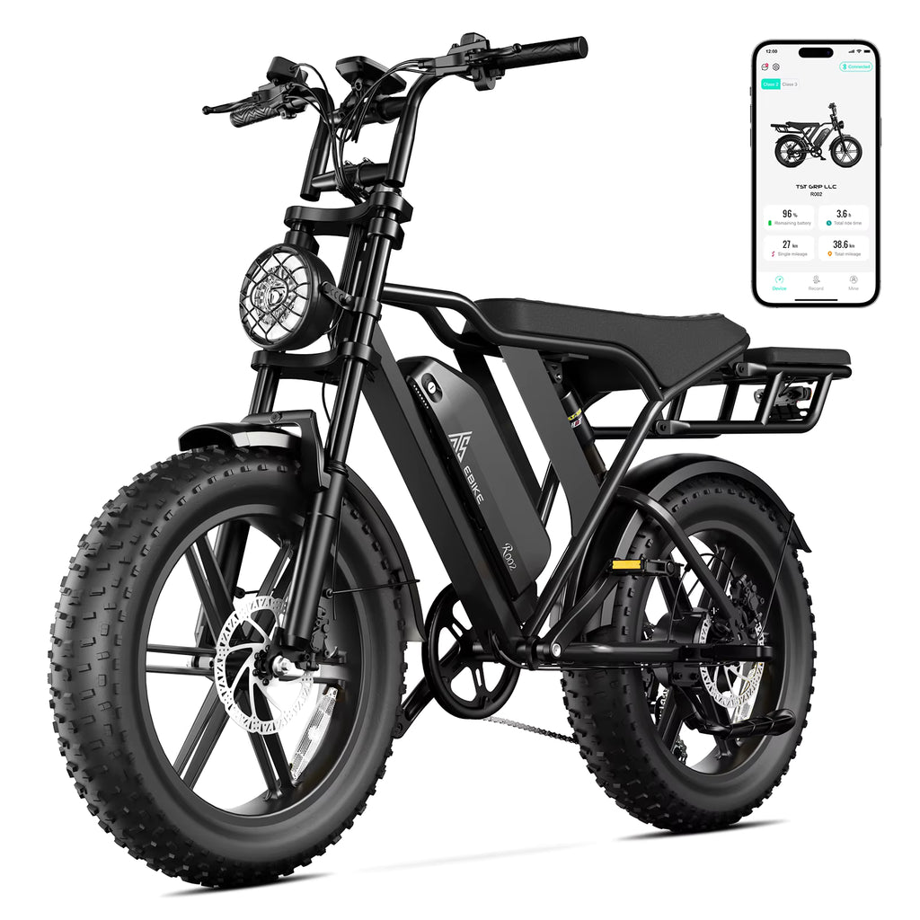 Fat-Tire All-Terrain Electric Mountain Bike – 1000W Motor, 48V Long-Range Battery”